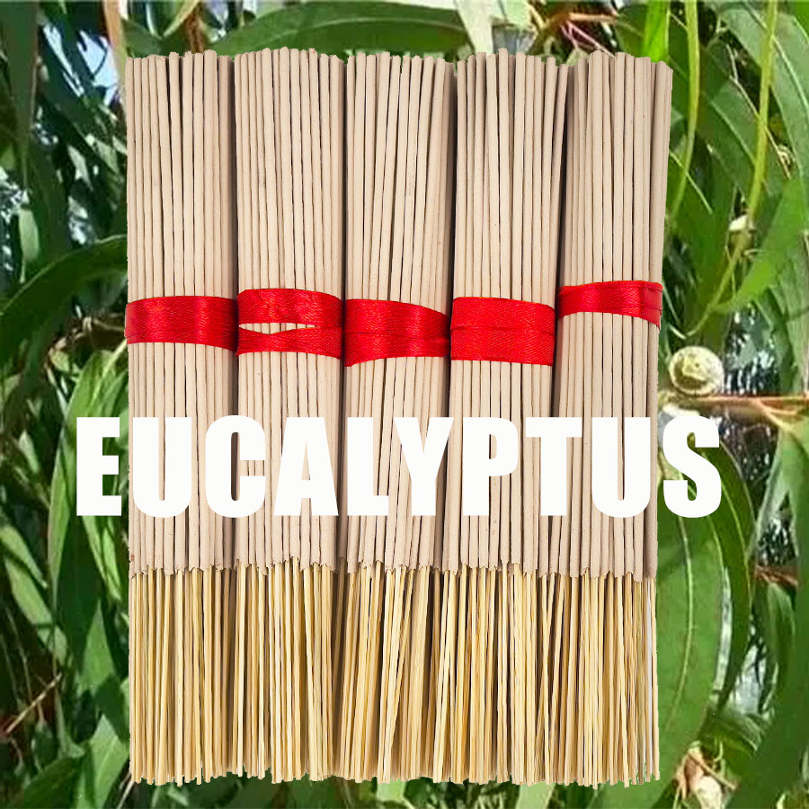 Home Fragrance Eucalyptus - Bastoncini di incenso di eucalipto di