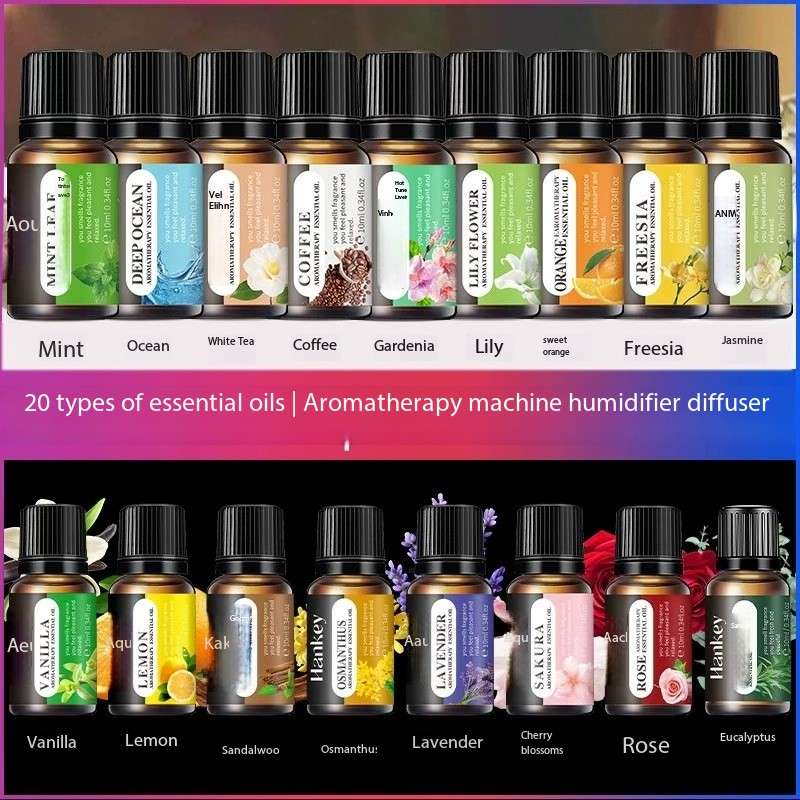 Home Fragrance Eucalyptus - Olio Essenziale Hankey per Umidificatori, Fragranze