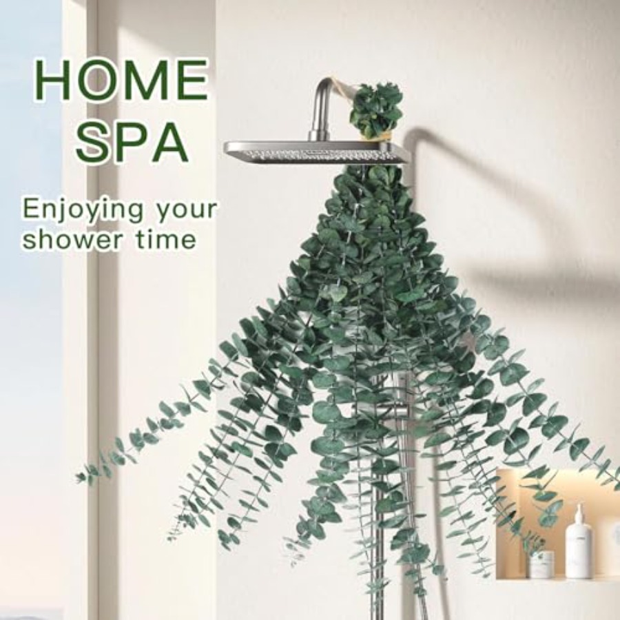 Rami di Eucalipto Essiccati pe - Home Fragrance Eucalyptus recensione e prezzo
