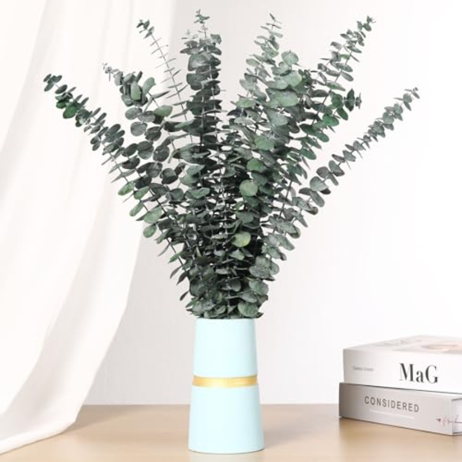Rami di Eucalipto Essiccati pe - Home Fragrance Eucalyptus recensione e prezzo