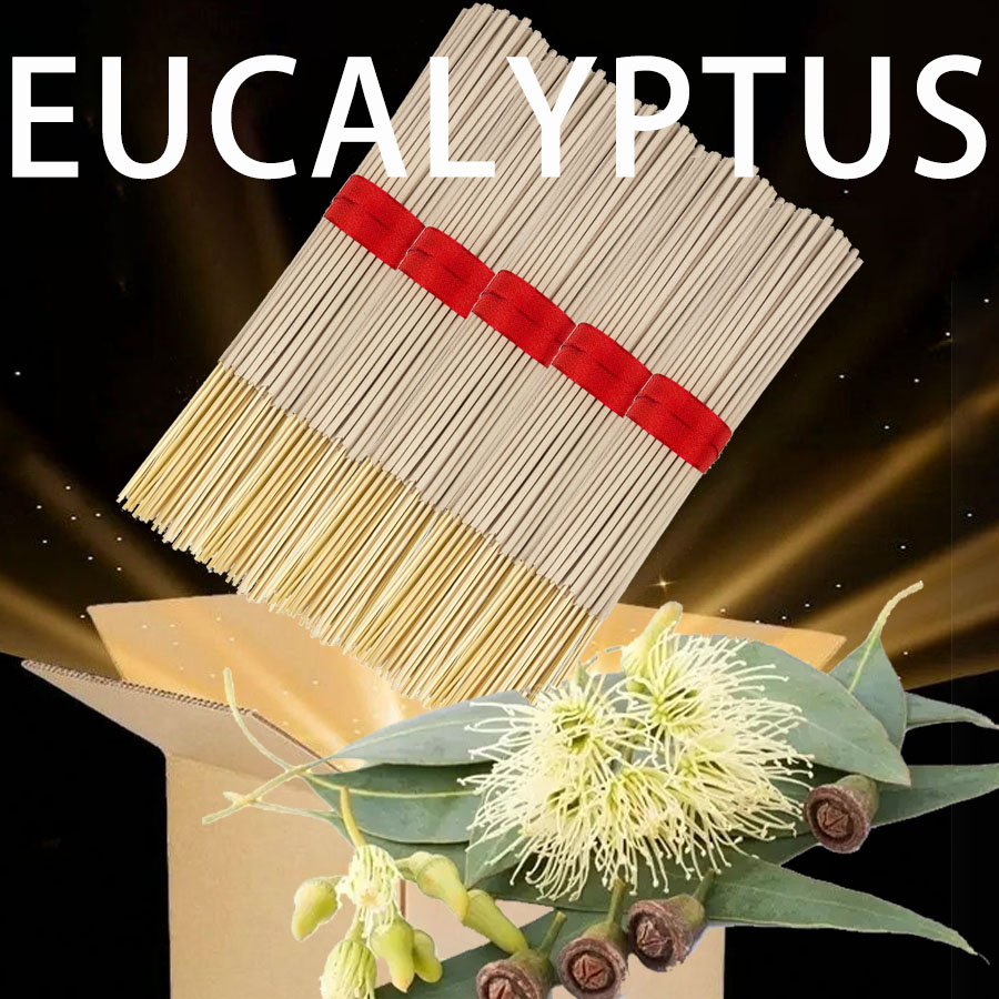 Bastoncini di incenso di eucal - Home Fragrance Eucalyptus recensione e prezzo