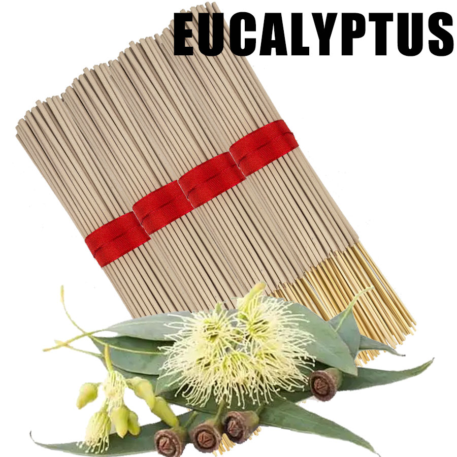 Bastoncini di incenso di eucal - Home Fragrance Eucalyptus recensione e prezzo