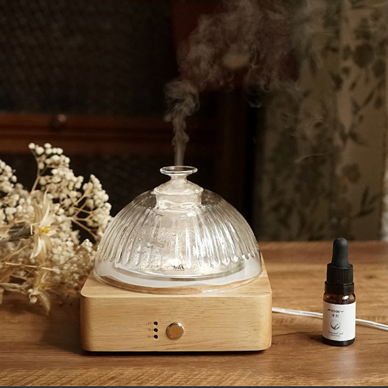 Macchina per aromaterapia euro - Home Fragrance Jasmine Diffuser recensione e prezzo