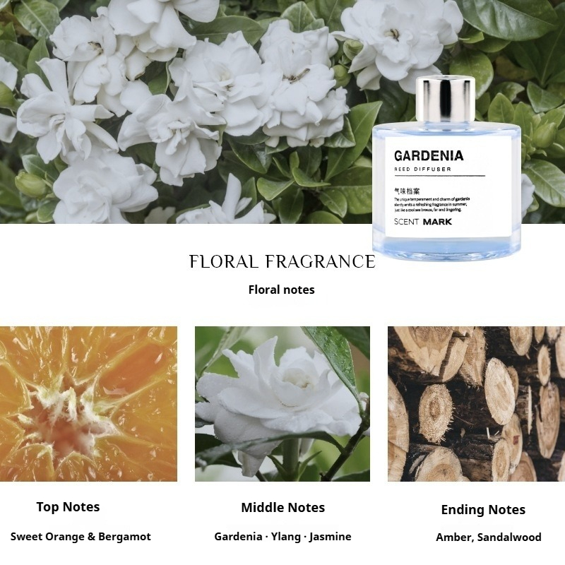 Set di diffusori per ance da 5 - Home Fragrance Jasmine Diffuser recensione e prezzo
