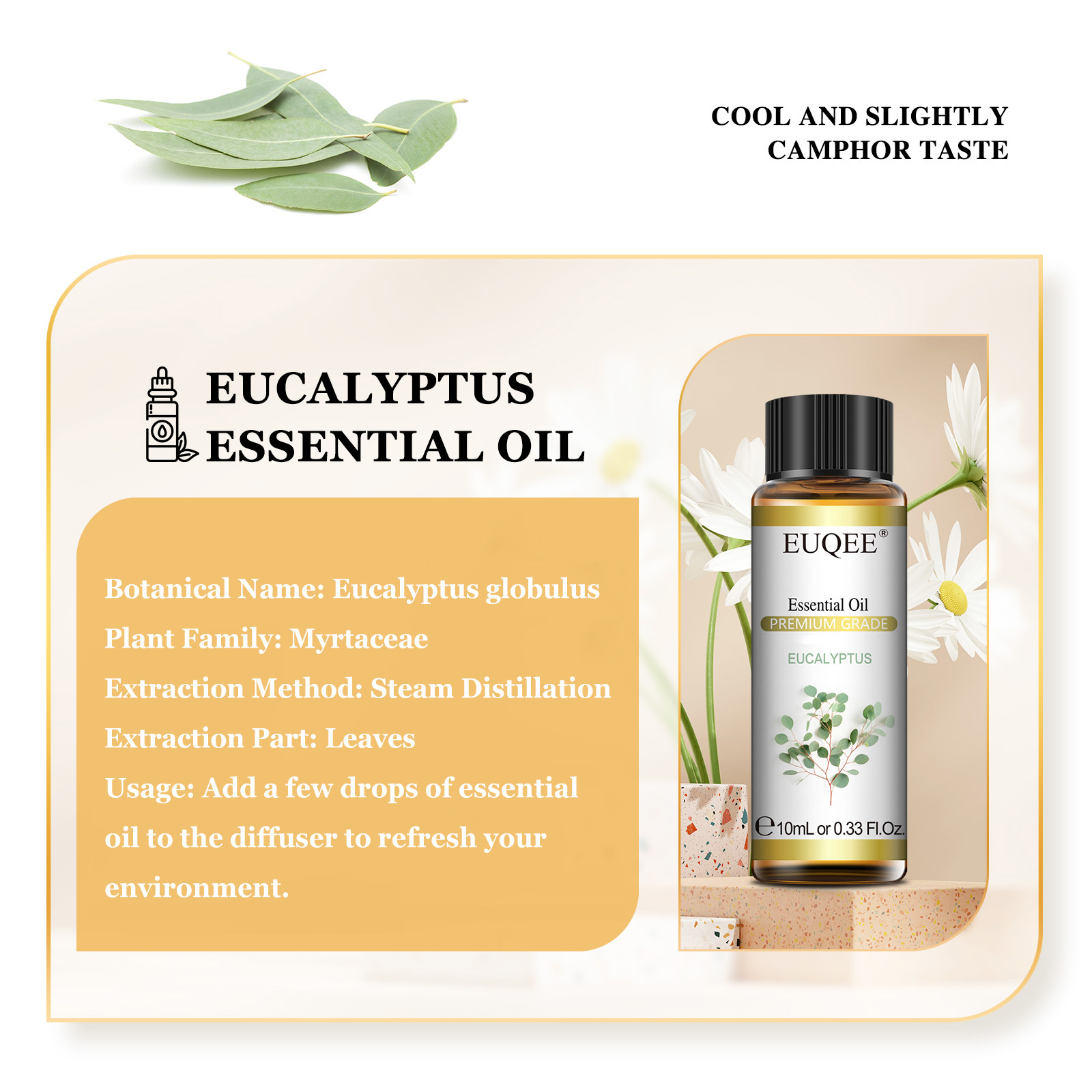 EUQEE 10ML Oli Essenziali Natu - Home Fragrance Eucalyptus recensione e prezzo