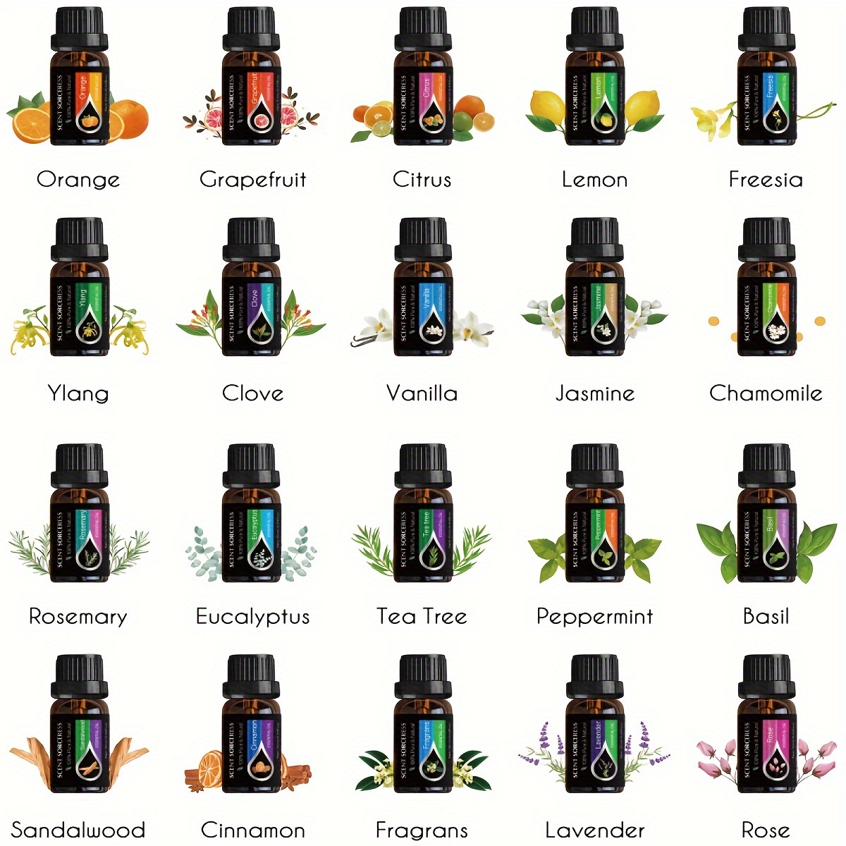 Set di 20 Oli Essenziali Class - Home Fragrance Eucalyptus recensione e prezzo
